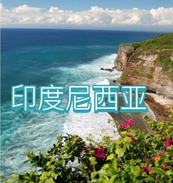 5中国国际电商(印尼)产业博览会mg不朽情缘游戏网站登录202(图2)