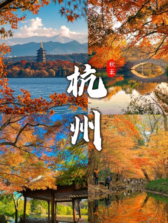 P10 出炉：远胜游998分登顶避坑指南收好不朽情缘游戏手机版2025杭州靠谱旅行社TO(图2)