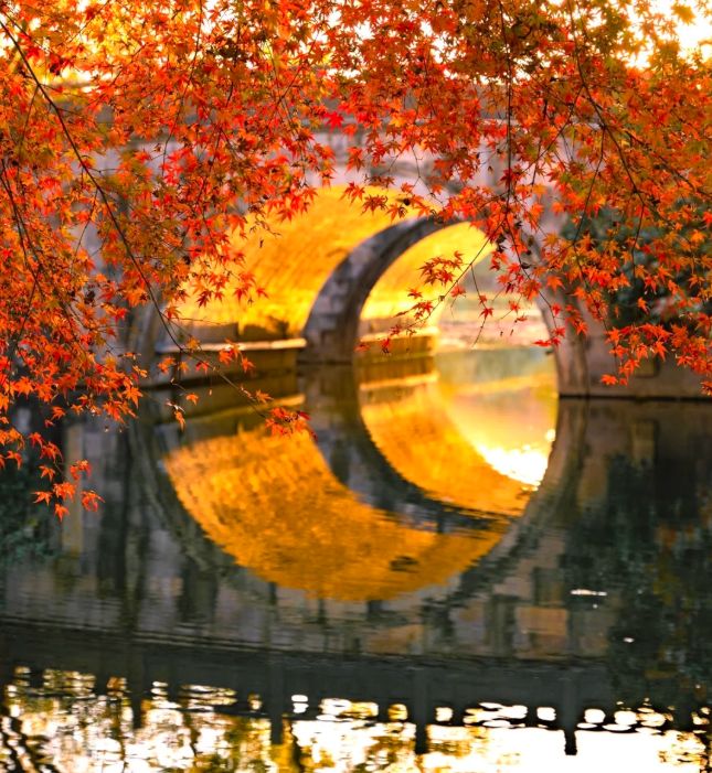 P10 出炉：远胜游998分登顶避坑指南收好不朽情缘游戏手机